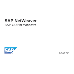 SAP IDES