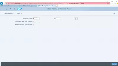 एसएपी में पिछली अवधि तक पोस्टिंग की अनुमति कैसे दें? : कंपनी कोड चयन