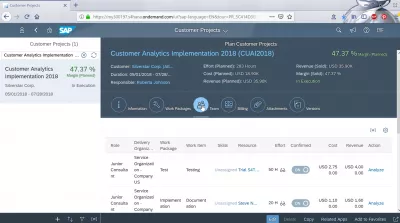 How to analyze a customer project in SAP Cloud?