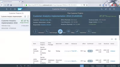 Hoe een klantproject in SAP Cloud analyseren?