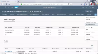 How to analyze a customer project in SAP Cloud? : Work performance and work packages