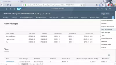 Kako analizirati projekt kupca u SAP Cloudu? : Radni učinak i radni paketi