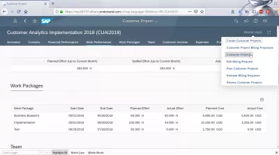 How to analyze a customer project in SAP Cloud? : Customer projects