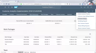 Ako analyzovať zákaznícky projekt v SAP cloud? : Projekty zákazníkov