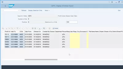 SAP S/4HANA लाभ केंद्र | तालिका CEPC : SE16N में प्रदर्शित सीईपीसी तालिका के क्षेत्र