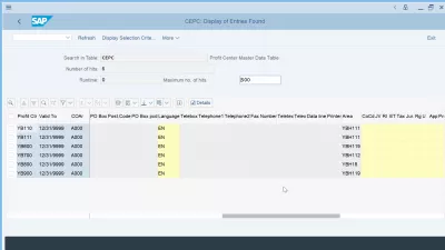 SAP S/4HANA लाभ केंद्र | तालिका CEPC : CEPC तालिका के फ़ील्ड सामान्य तालिका प्रदर्शन में प्रदर्शित होते हैं