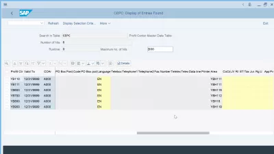 SAP S/4HANA Profit Center | Table CEPC : Fields of the CEPC table displayed in general table display