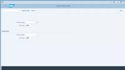 SAP S/4HANA Profit Center | CEPC mahaia : Profit zentro sortzea SAP-n