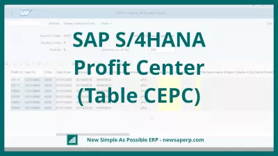 SAP S/4HANA लाभ केंद्र | तालिका CEPC : एसएपी में लाभ केंद्र मास्टर डेटा टेबल
