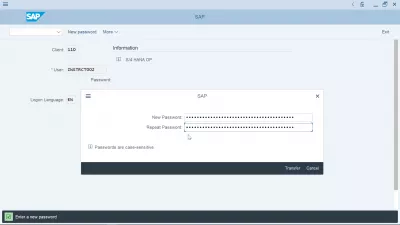 Comment changer le mot de passe dans SAP? : Nouvelle sélection de mot de passe pop-up