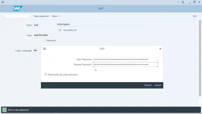 Com canviar la contrasenya a SAP? : Nova finestra emergent de selecció de contrasenyes