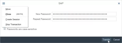 How to change password in SAP? : Entering a new password