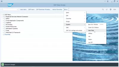 How to change password in SAP? : User data menu location