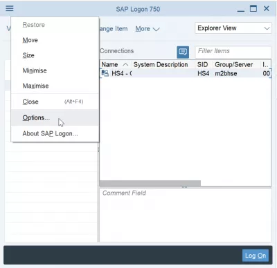 Change SAP NetWeaver logon language in 2 easy steps : Options entry in SAP logon menu