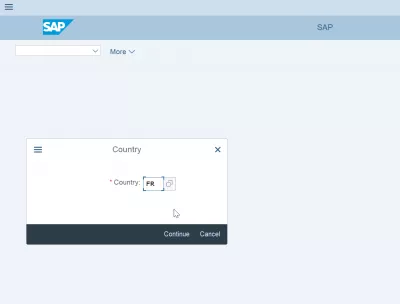 Присвоение балансовой единицы SAP стране в 3 простых шага : Выбор кода страны