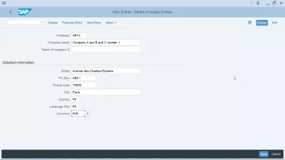Créer une société dans SAP FI : Saisie de nouvelles informations sur l'entreprise
