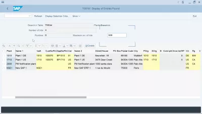 Wie erstelle ich ein Material in SAP? : Tabelle für die Werks- und Buchungskreiszuordnung in SAP T001W, die im Table Viewer angezeigt wird