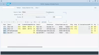 Hoe maak je een materiaal in SAP? : Tabel voor toewijzing van fabrieks- en bedrijfscodes in SAP T001W weergegeven in tabelviewer