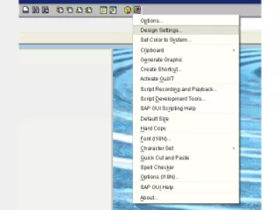Как изменить цвет в SAP GUI : Рис. 2: Параметры дизайна SAP