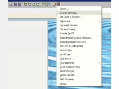 How to change color in SAP GUI : Fig 2 : SAP Design settings 