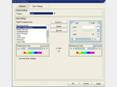 Comment changer de couleur dans SAP GUI : Fig 3: Paramètres de couleur SAP