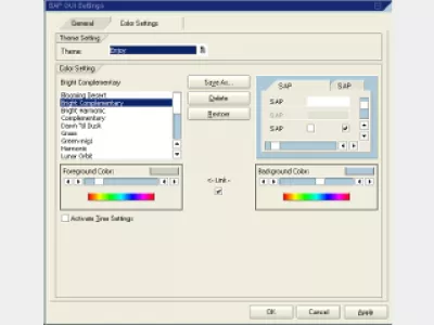 როგორ შევცვალოთ ფერი SAP GUIში : ნახაზი 3: SAP ფერი პარამეტრები