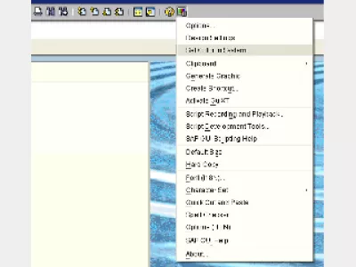 Modificarea culorii în SAP GUI : Figura 7: SAP Setați culoarea în sistem