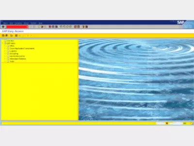 របៀបប្តូរពណ៌នៅក្នុង SAP GUI : រូបភាព 9: ការកំណត់ពណ៌ SAP