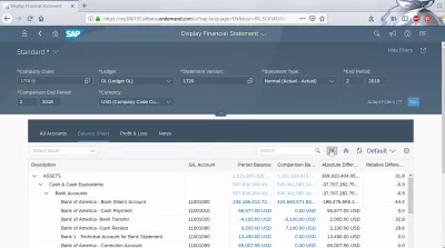 Display financial statement tile in SAP FIORI and balance sheet check : Balance sheet tab