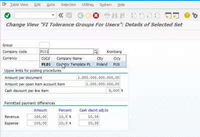 SAP: Solve the error no amount authorization for customers/vendors in company code message F5155 : Change view FI tolerance groups for user