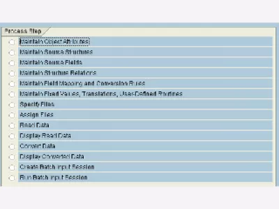 SAP eksporta LSMW partijas ieejas sesijas rezultāti : 1. attēls: izvēlne LSMW