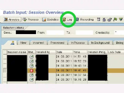 SAP exportiert LSMW-Batch-Input-Sitzungsergebnisse : Bild 2: LSMW Batch-Input-Sitzung