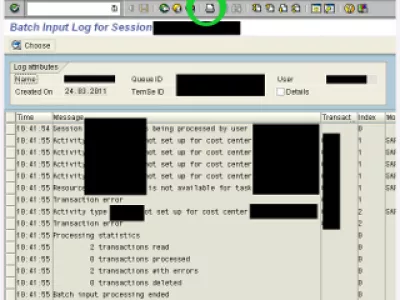 SAP exportiert LSMW-Batch-Input-Sitzungsergebnisse : Bild 4: LSMW-Protokollanzeige