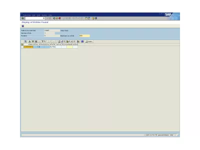 Znajdź klasyfikację materiałową w SAP : Ryc. 6: Wyświetlanie tabeli SAP, СAWNT
