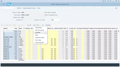 ¿Cómo manejar archivos grandes en SAP? : Opción de exportación de datos de SAP BIG