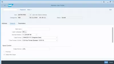 SAP GUI: Comment changer de langue? Dépannage : Modification de la langue de connexion du profil utilisateur