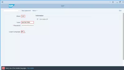 SAP GUI: Jak zmienić język? Rozwiązywanie problemów : Błąd wyboru języka logowania SAP: wybierz jeden z zainstalowanych języków