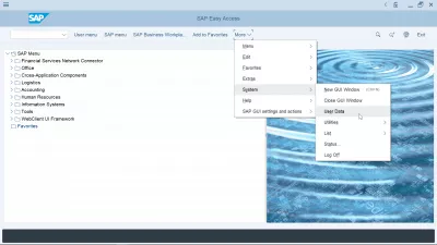 SAP GUI: Hvordan ændres sprog? Fejlfinding : Brugerdata menu i SAP interface