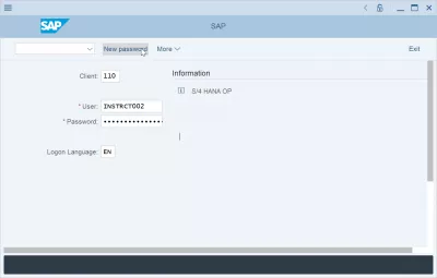 How To Reset And Change SAP Password? : New password button on SAP logon screen
