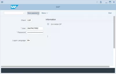 Come Resettare E Cambiare La Password SAP? : Nuovo pulsante password sulla schermata di accesso SAP