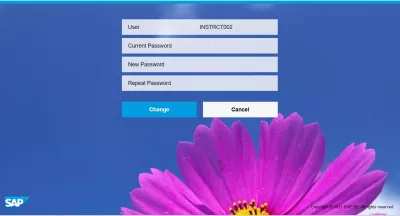 Comment Réinitialiser Et Changer Le Mot De Passe SAP? : Interface de changement de mot de passe SAP FIORI