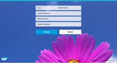 Hur Återställer Du Och Ändrar SAP-Lösenordet? : SAP Fiori Password Ändra gränssnitt