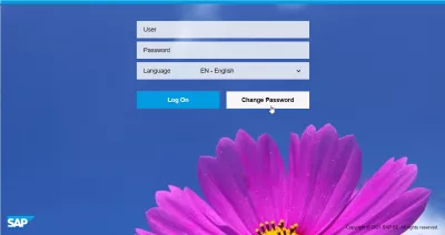 Comment Réinitialiser Et Changer Le Mot De Passe SAP? : Interface de connexion SAP FIORI et option de changement de mot de passe