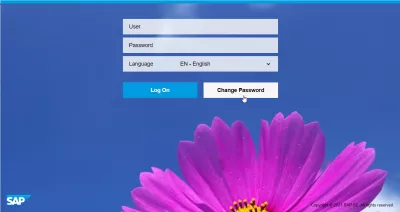 Како Ресетовати И Промијенити Сап Лозинку? : САП Фиори Логин интерфејс и опција промене лозинке