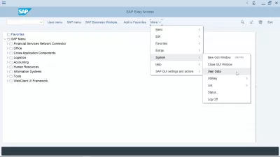 ¿Cómo Restablecer Y Cambiar La Contraseña De SAP? : Menú de datos de usuario en la interfaz SAP GUI