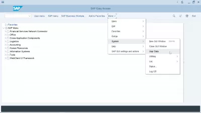 Hur Återställer Du Och Ändrar SAP-Lösenordet? : Användardata-menyn i SAP GUI-gränssnittet