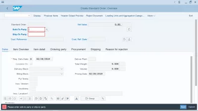 How To Use The SAP GUI? : SAP form with data entry error