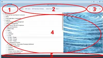 Kuinka Käyttää Sap-Käyttöliittymää? : Yksityiskohtaiset SAP-käyttöliittymän osat