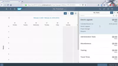 Manage my timesheet and event-based revenue recognition in SAP Cloud : My tasks in manage my timesheet