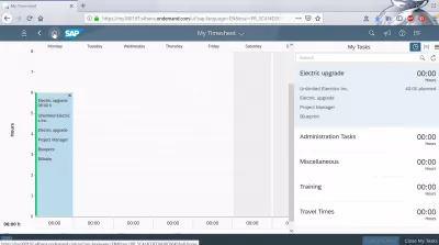 Manage my timesheet and event-based revenue recognition in SAP Cloud : Time entered in manage my timesheet